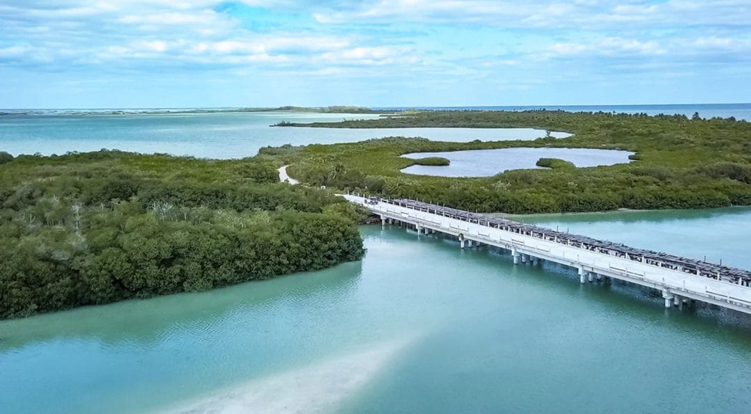 Proyectan construir un muelle de 237 metros en zona de mangle de Sian Ka’an