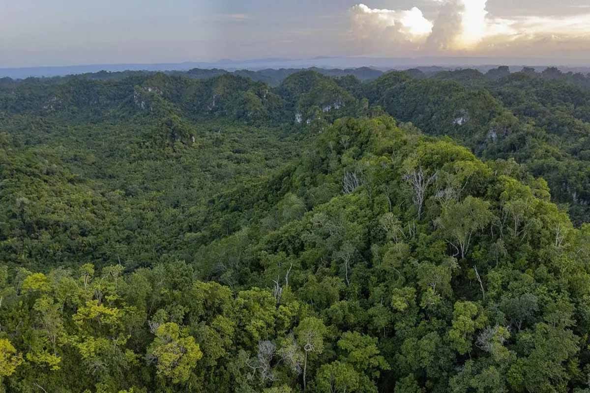 Sélvame MX exige a Sheinbaum proteger la Reserva de Xaman Ha ya