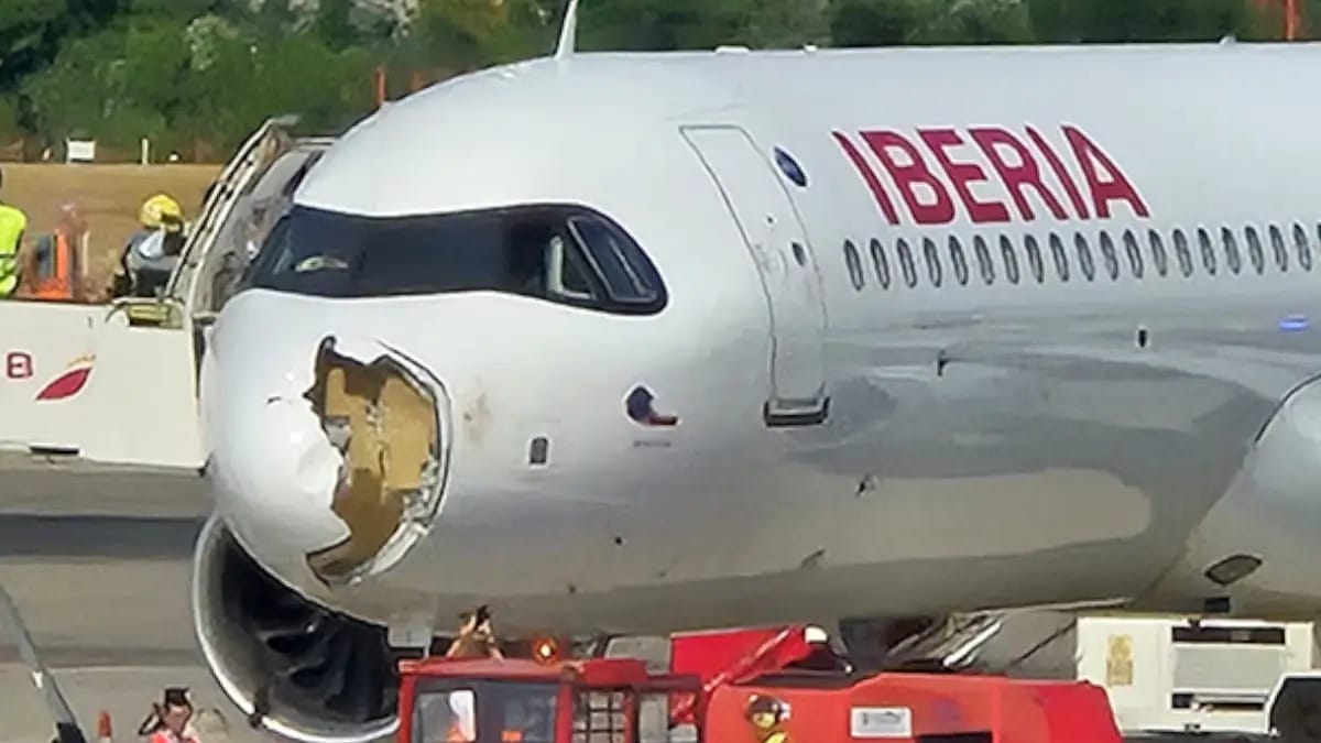 Terror en el aire: vuelo de Iberia aterriza de emergencia tras brutal choque con ave