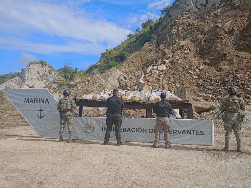 FGR y Defensa destruyen más de una tonelada de cocaína en Guerrero