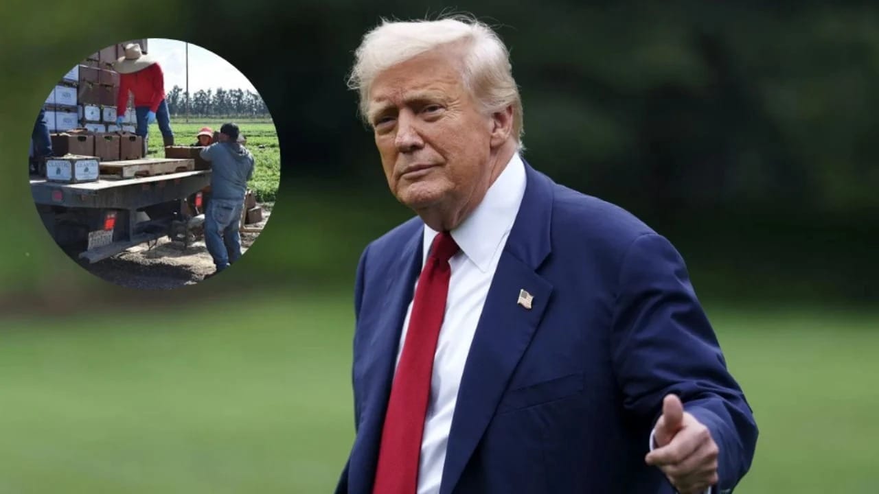 donald_trump_migrantes_mexicanos Trump admite que migrantes deportados son difíciles de reemplazar