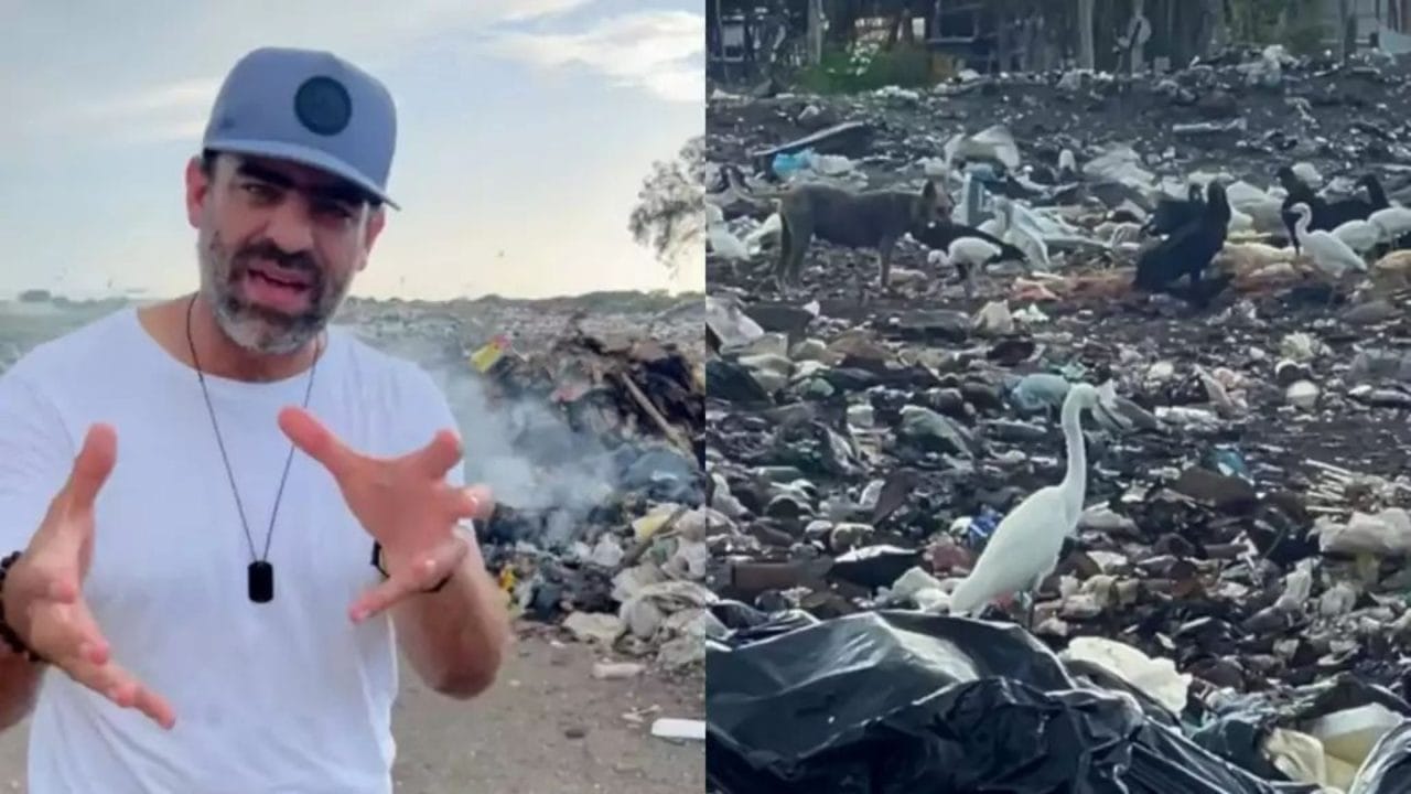 Ambientalista denuncia ecocidio en Celestún; gobernador Díaz Mena promete acciones Ambientalista denuncia ecocidio en Celestún; gobernador Díaz Mena promete acciones