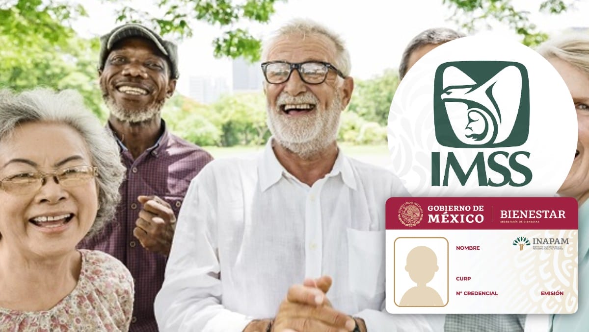 ¿Cómo puedo obtener un trabajo con mi credencial del INAPAM?