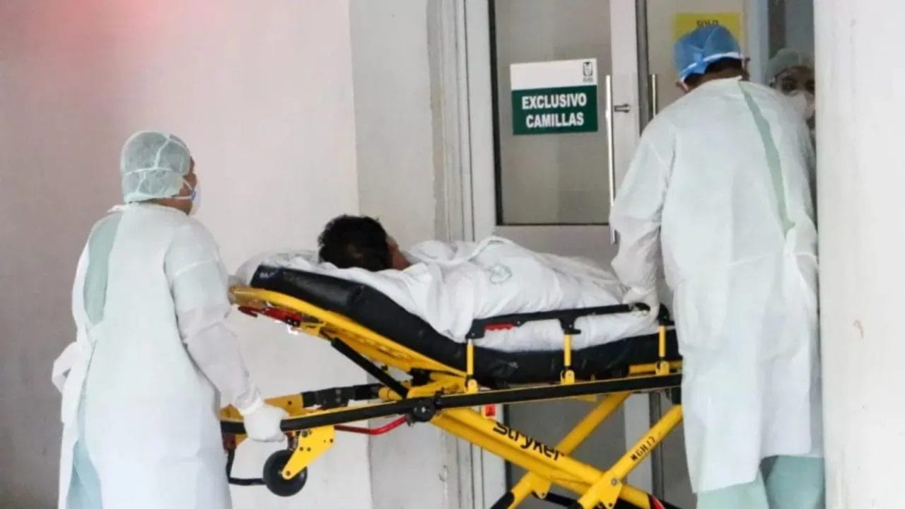 Península de Yucatán confirma sus primeras dos muertes por influenza - La  Verdad Noticias