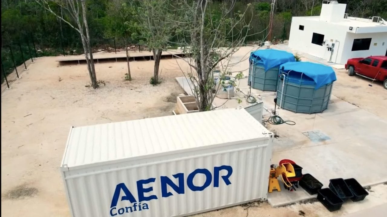Planta piloto de biogás con sargazo en Quintana Roo atrae inversión internacional