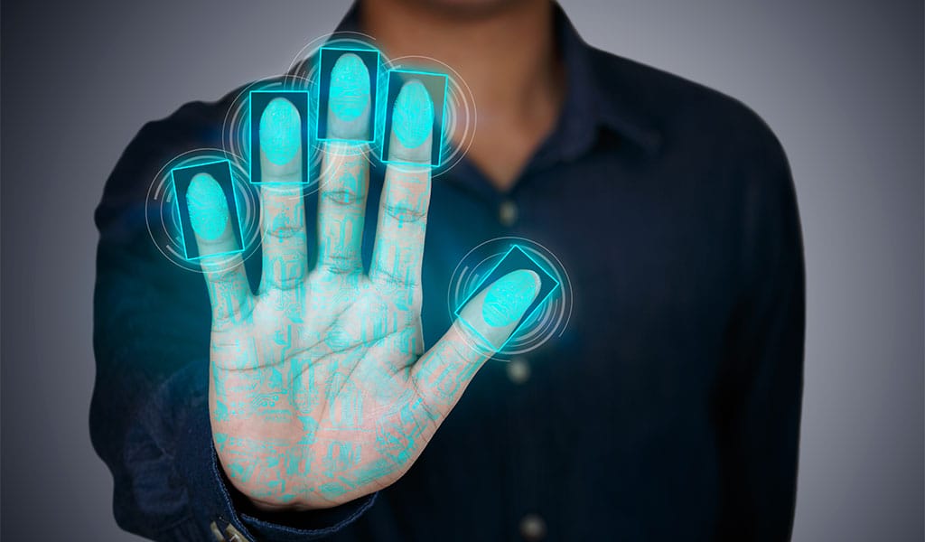 robo de identidad por datos biométricos