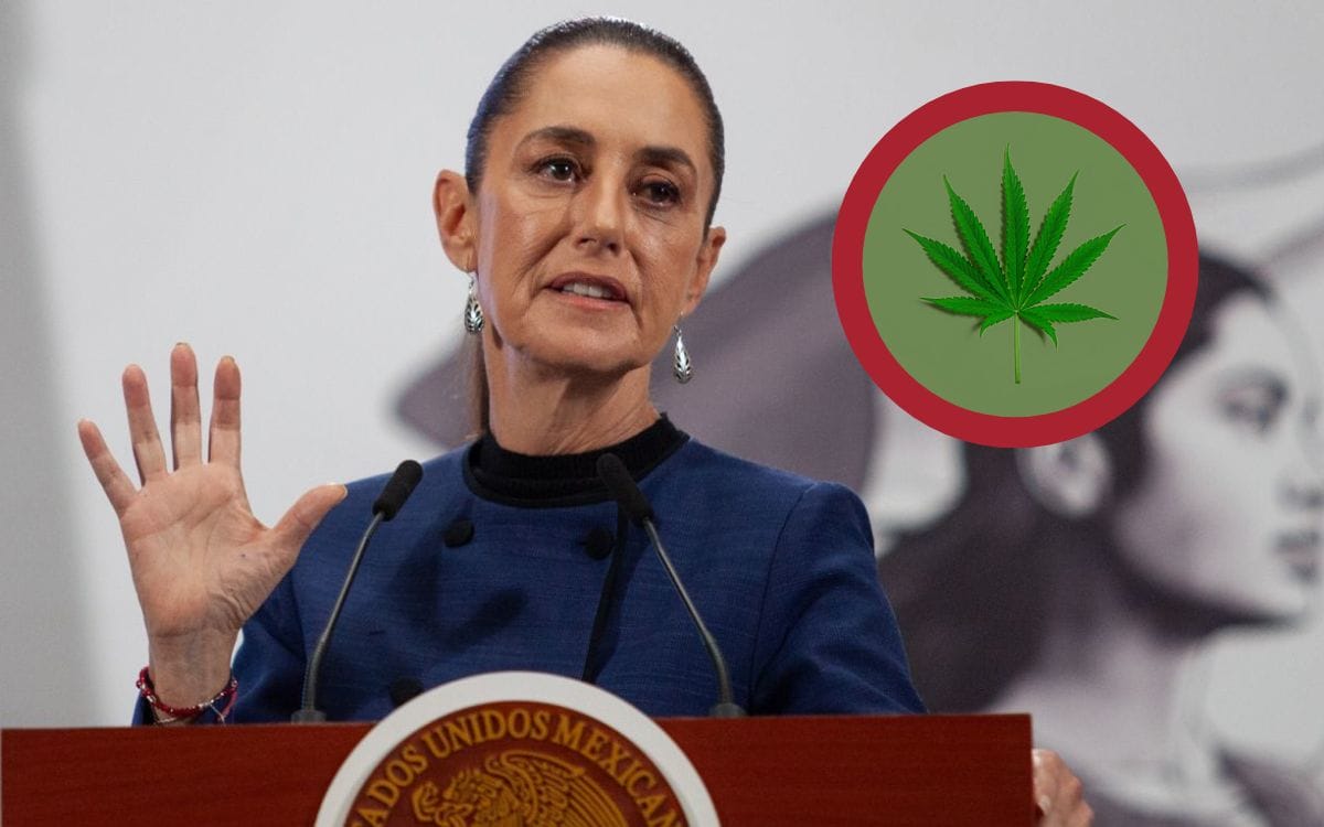 Sheinbaum sobre espacios de marihuana: “no serán puntos de narcomenudeo”