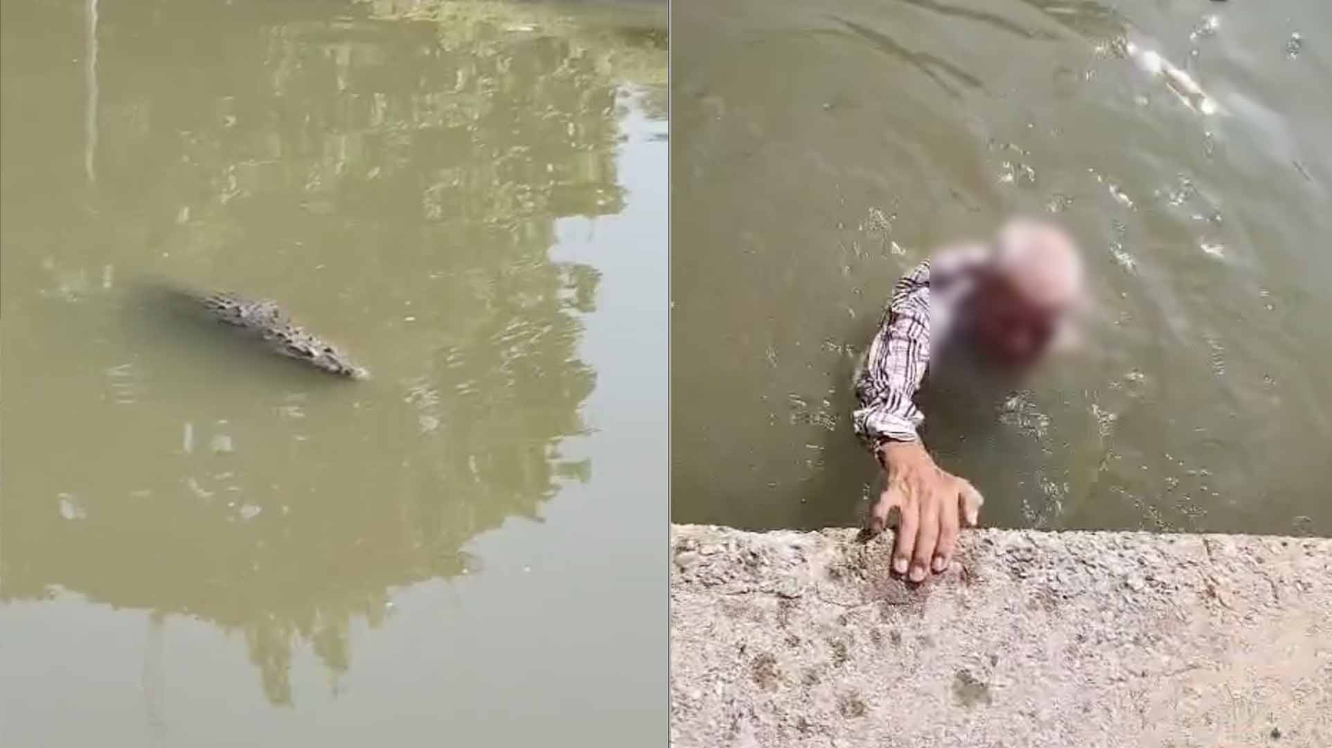 tamaulipas_abuelito_rescatado Abuelito de 87 años es rescatado de un cocodrilo en Tampico
