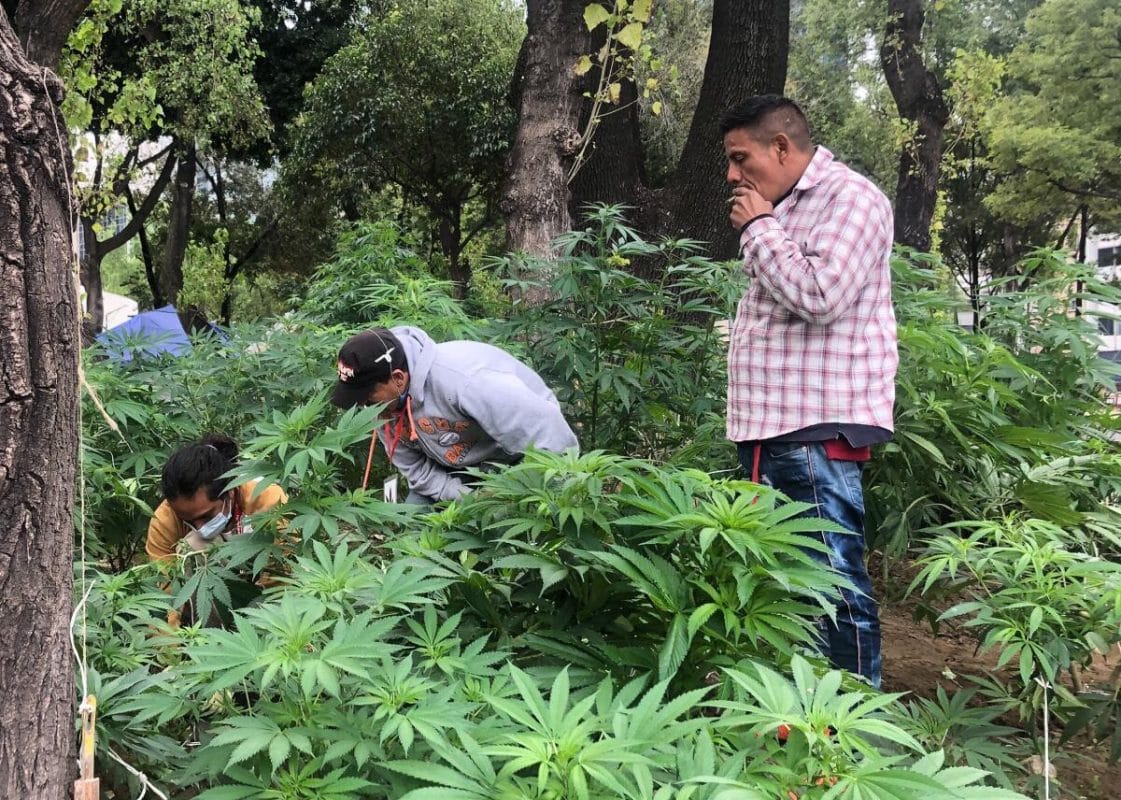 Protestan vecinos por instalación de zona para consumo de mariguana en el Centro de CDMX