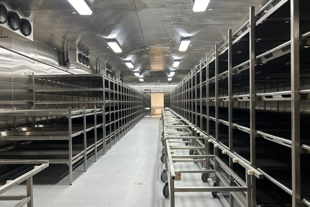 Sistema forense en Yucatán: más ciencia, menos infraestructura