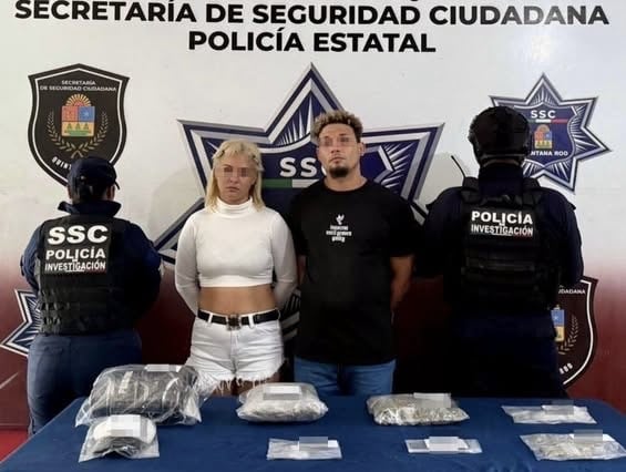 5b355a5d-5a03-47a7-a396-e25a814c3b31