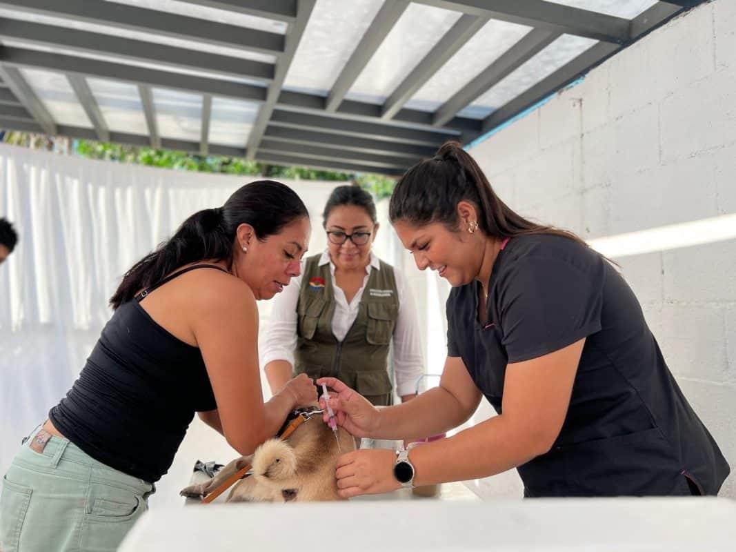 966b4245-b352-4ba9-af87-e59451c973e2