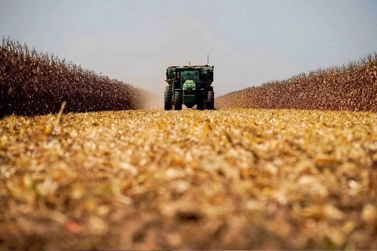 Agricultores en EE. UU. presionan por ayuda económica ante bajos precios