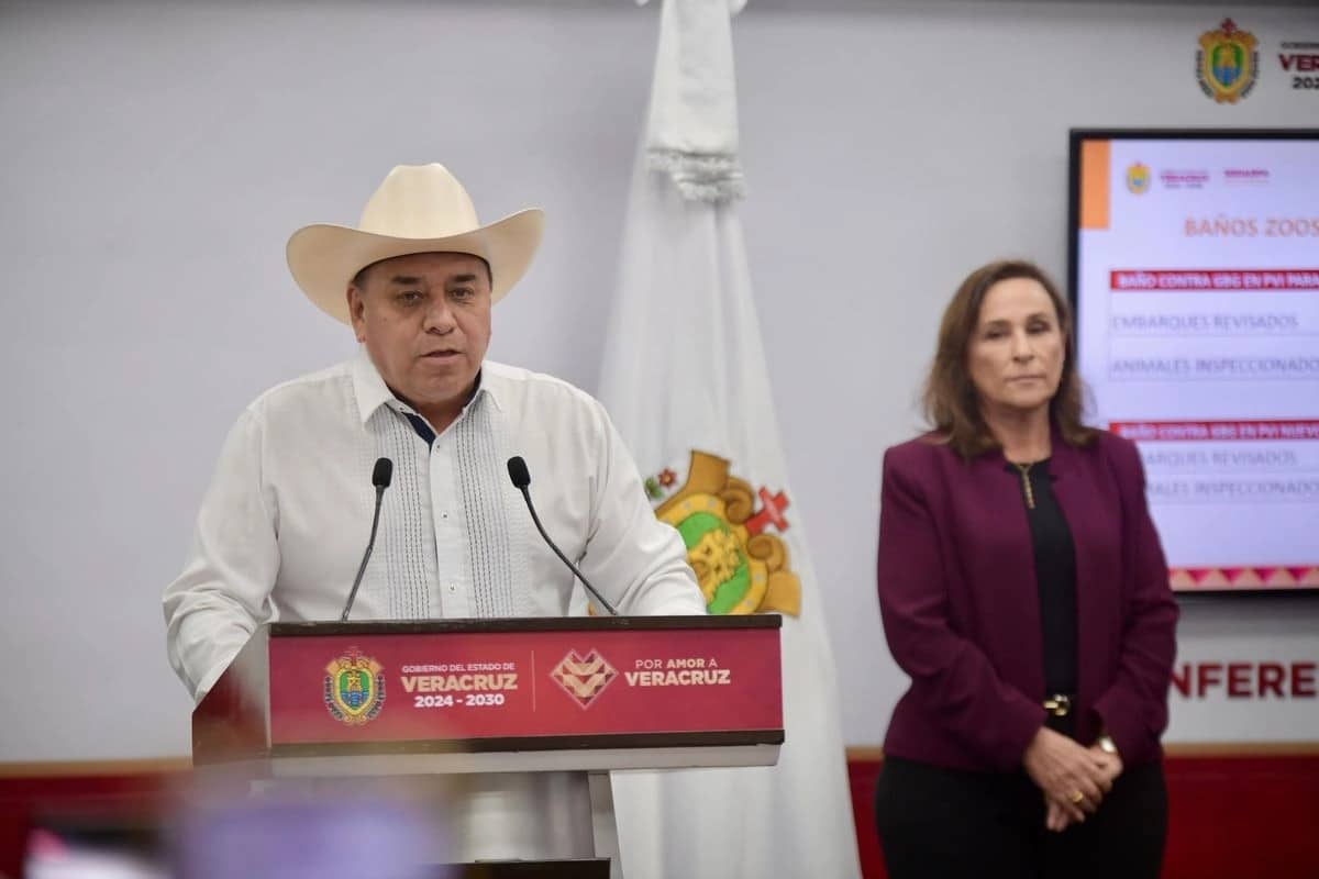 Alarma en Veracruz casi 500 casos de gusano barrenador detectados Alarma en Veracruz: casi 500 casos de gusano barrenador detectados