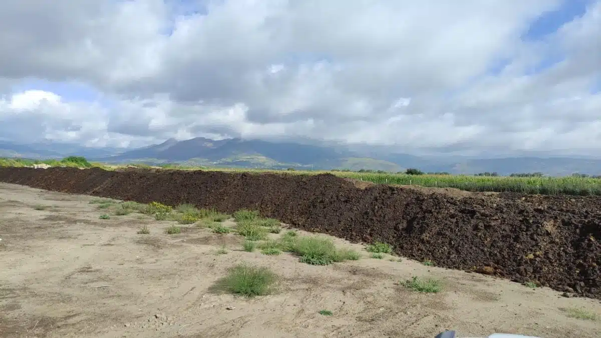 Alertan sobre riesgo de salud y ambiental por tiraderos clandestinos de Granjas Carroll