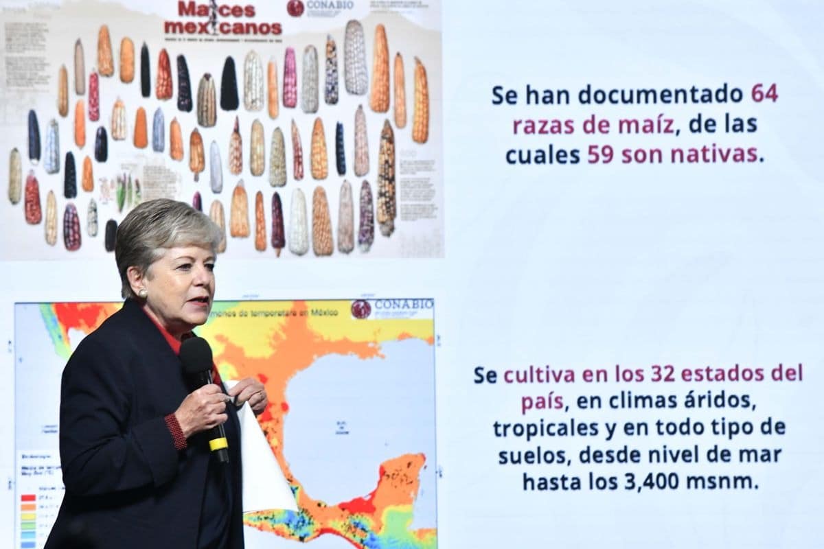 Alicia Bárcena: solo EU rechaza compromisos globales contra el clima