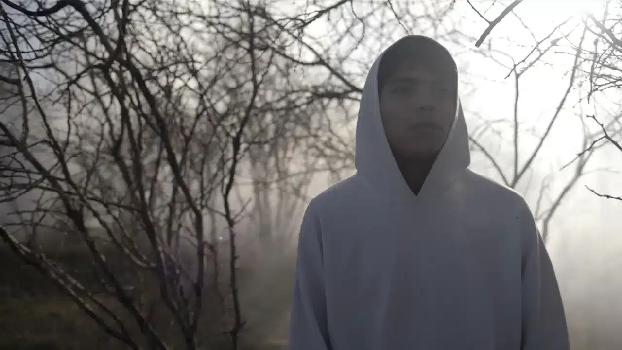 Ariel 2025: dónde ver las películas ganadoras de este año