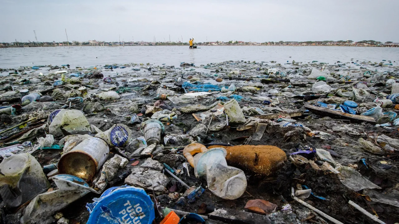 Bacterias que pueden comerse el plástico_ ¿La clave para salvar los océanos_ Bacterias que pueden comerse el plástico: ¿La clave para salvar los océanos?