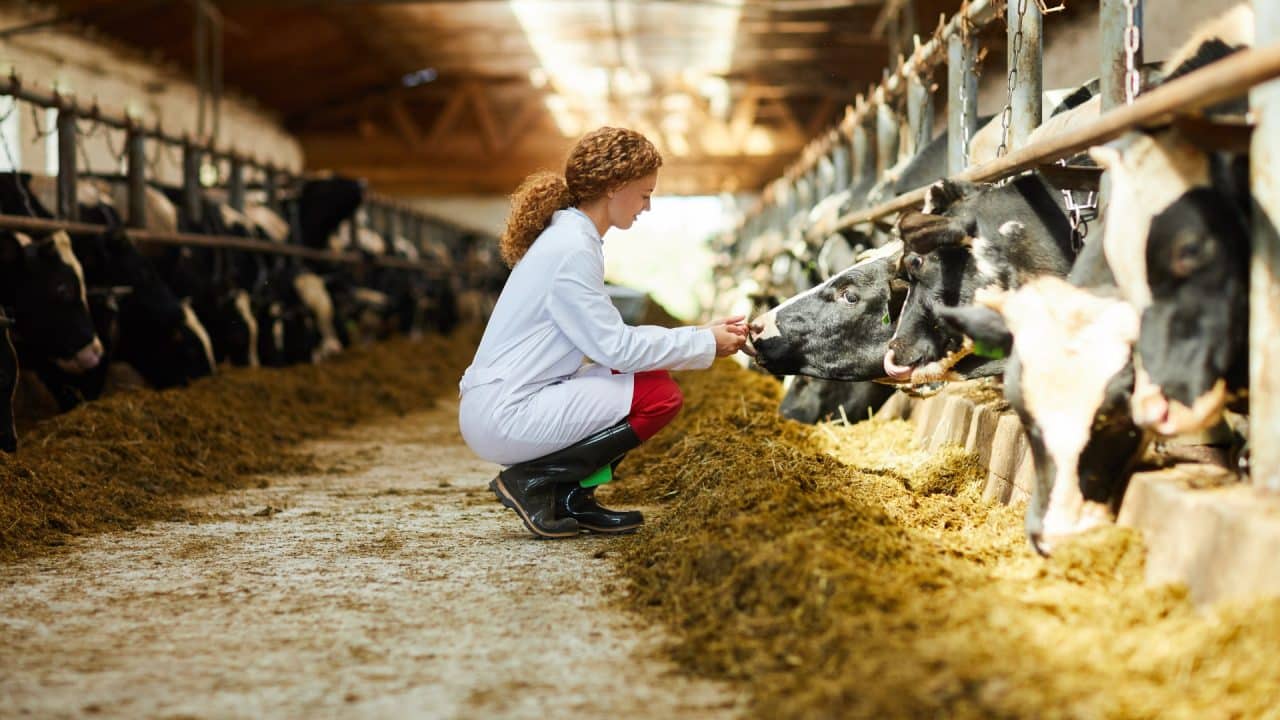 Cómo la intervención humana alteró el tamaño de los animales durante 8 mil años