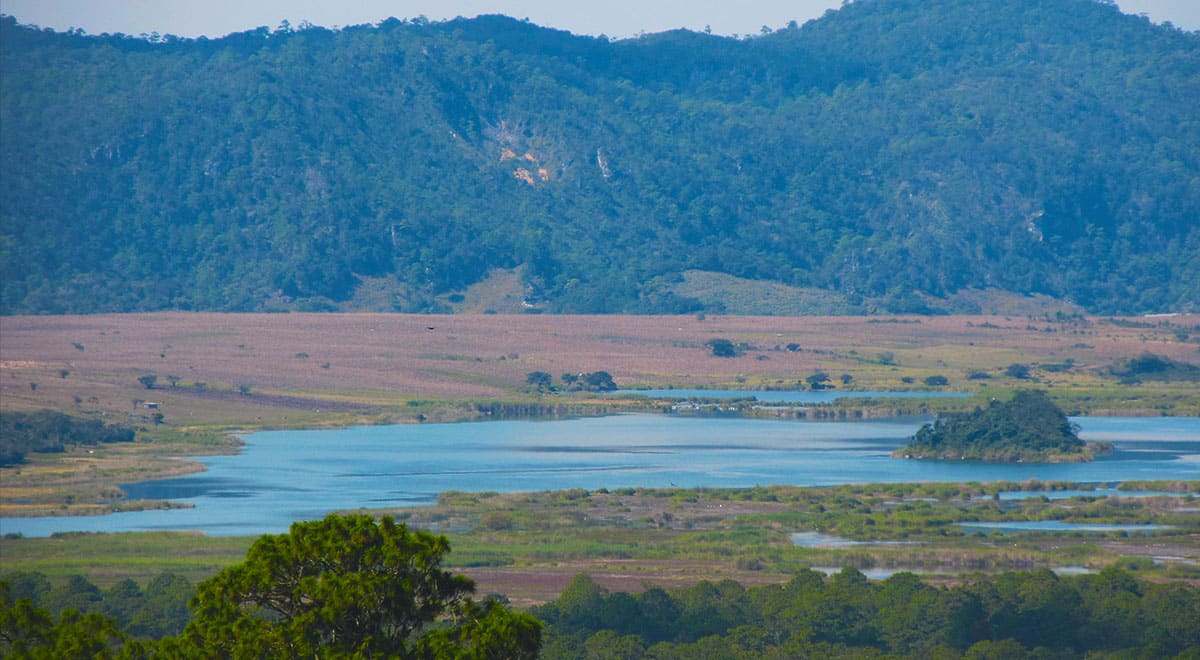 Conagua detecta miles de anomalías en concesiones de agua; algunas en Tailandia