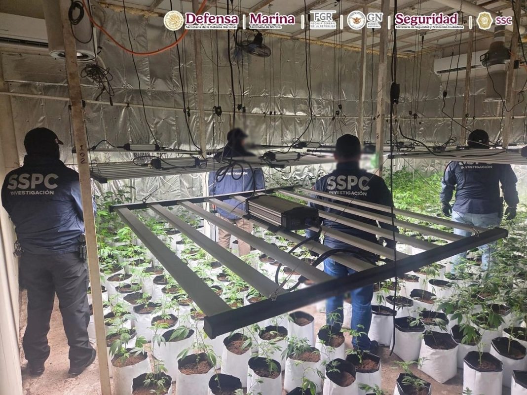 Detienen en CDMX a 4 miembros de red vinculada a La Familia Michoacana
