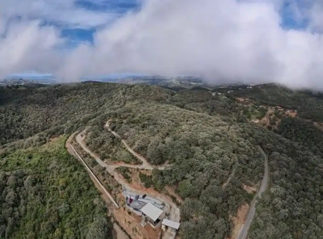 Empresa de ex diputado del PAN acusada de evadir justicia ambiental con amparos Empresa de ex diputado del PAN acusada de evadir justicia ambiental con amparos