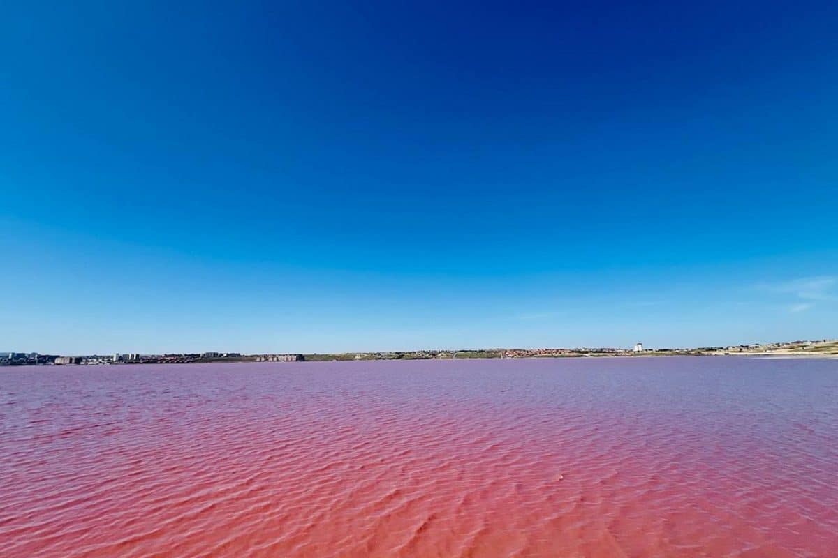 Entre el asombro y la ciencia_ así es el lago Masazir, el sorprendente tesoro rosado escondido en Azerbaiyán Entre el asombro y la ciencia: así es el lago Masazir, el sorprendente tesoro rosado escondido en Azerbaiyán
