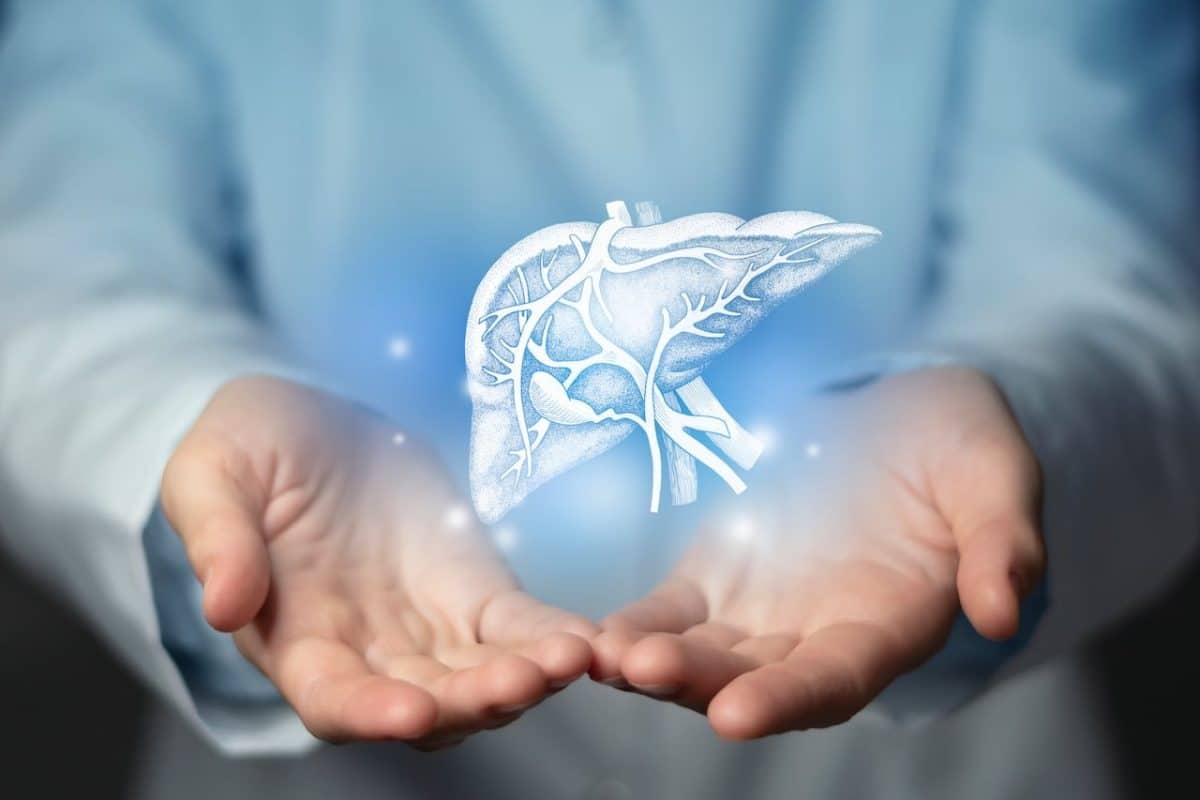 Hígado en riesgo: expertos alertan sobre el daño silencioso del órgano