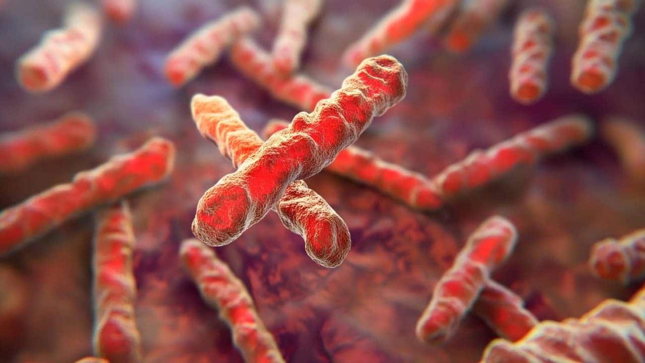 Nuevo test detecta tuberculosis en minutos usando solo un hisopo