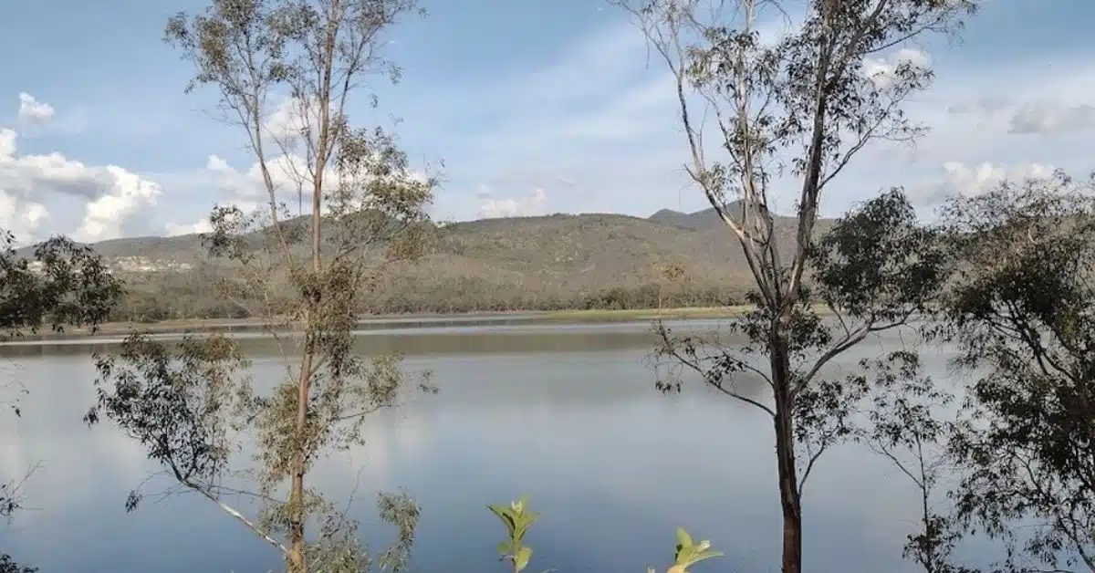 Presas en Michoacán alcanzan 90.4% de almacenamiento en plena temporada de lluvias Presas en Michoacán alcanzan 90.4% de almacenamiento en plena temporada de lluvias