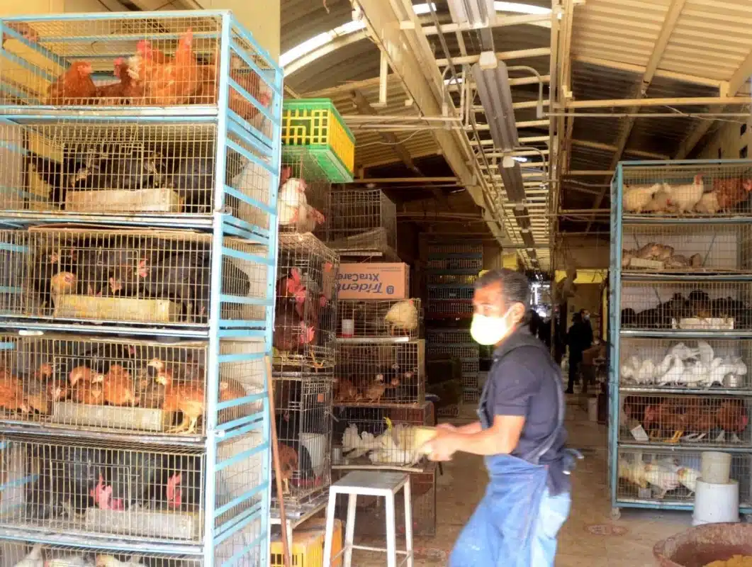 Protestan contra iniciativa que busca prohibir exhibición de animales para su venta Protestan contra iniciativa que busca prohibir exhibición de animales para su venta