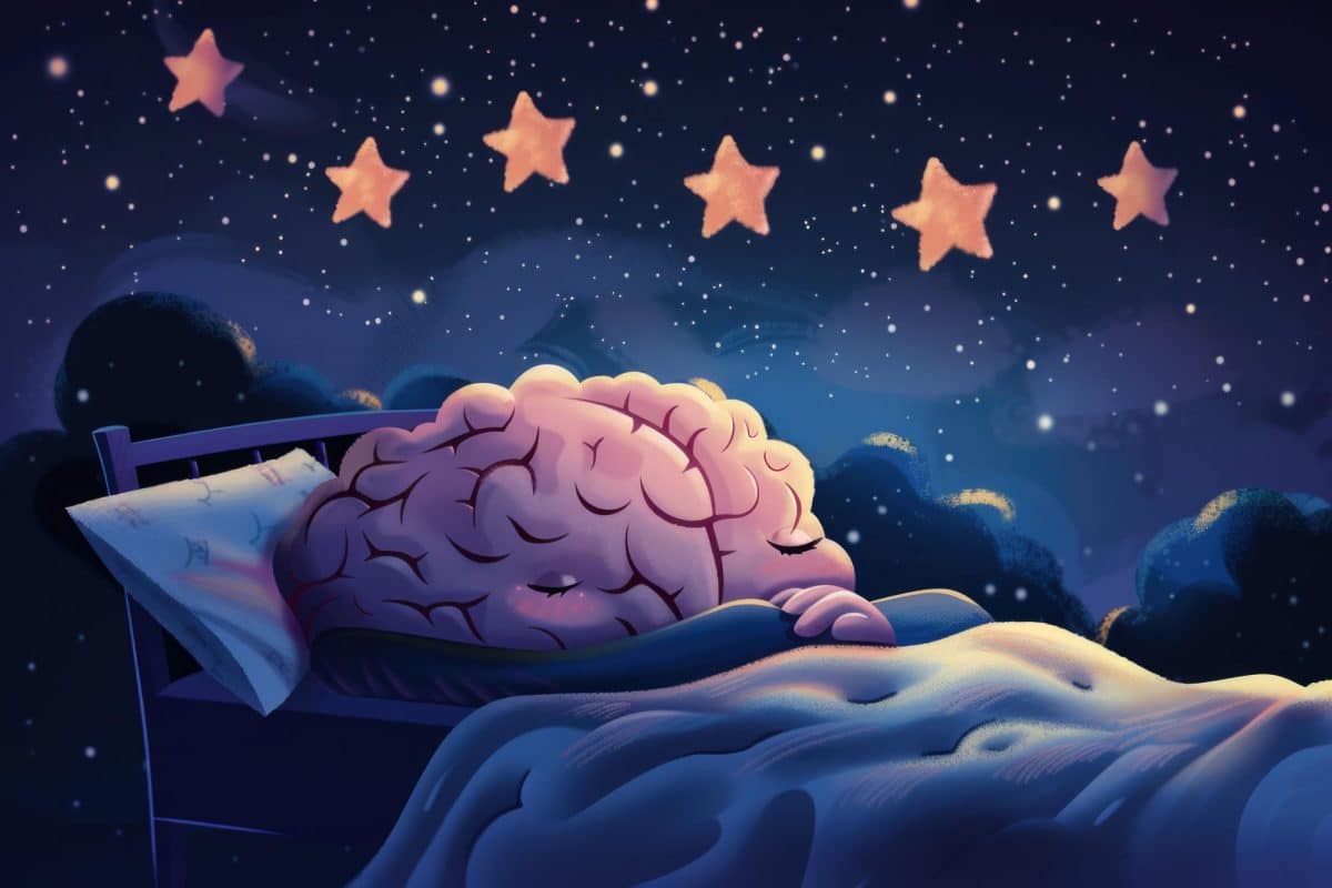 Sueño y memoria_ por qué dormir fortalece los recuerdos, según la ciencia Sueño y memoria: por qué dormir fortalece los recuerdos, según la ciencia