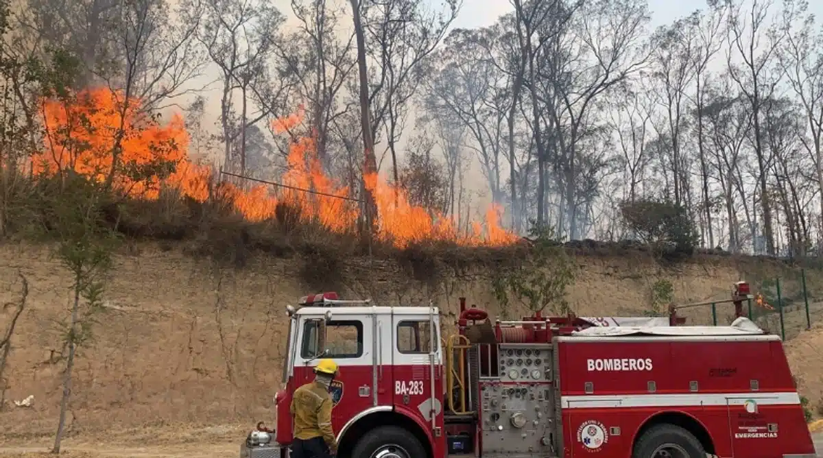UNAM desarrolla sistema con inteligencia artificial para detectar humo de incendios forestales