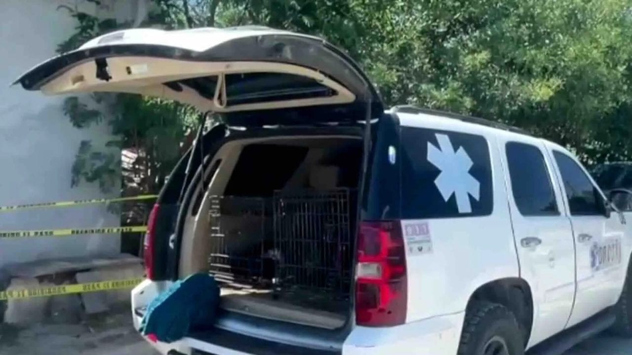 bebe_muere_ataque_perro Muere bebé tras ataque del perro de su familia en Tamaulipas