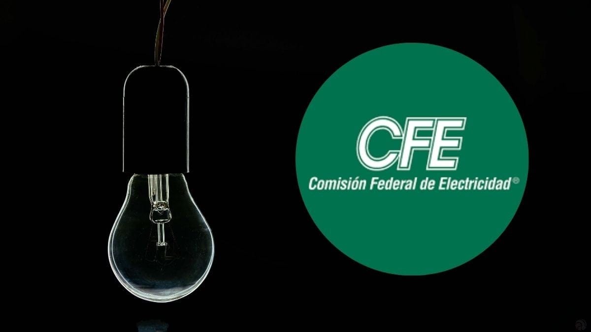 cfe app pagar CFE digital: así puedes activar tu recibo de luz paperless