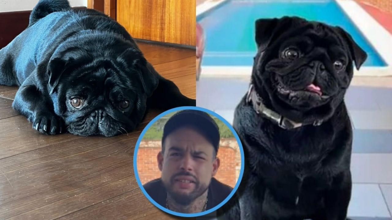 ‘Gordo’, la mascota de los Aguilar, ofrece disculpa pública a Emiliano, genera polémica