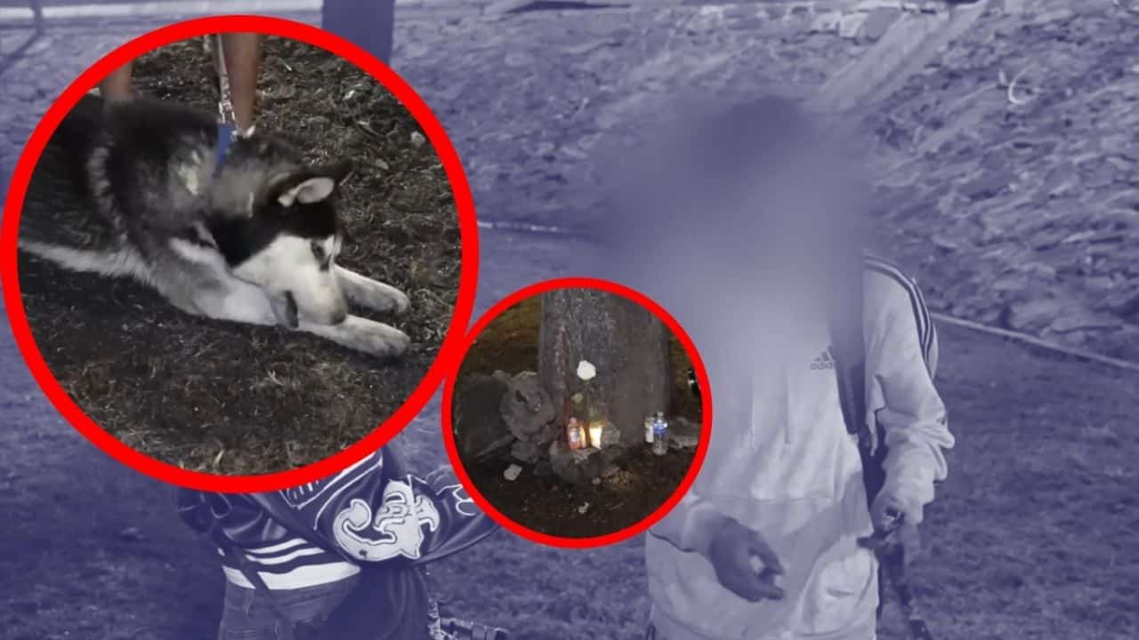 Explosión en Iztapalapa: joven en situación de calle relata cómo su perro lo salvó