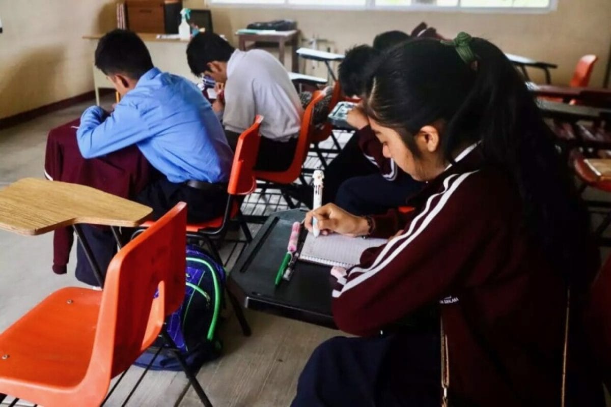 Educación en crisis: México registra el mayor rezago educativo dentro de la OCDE
