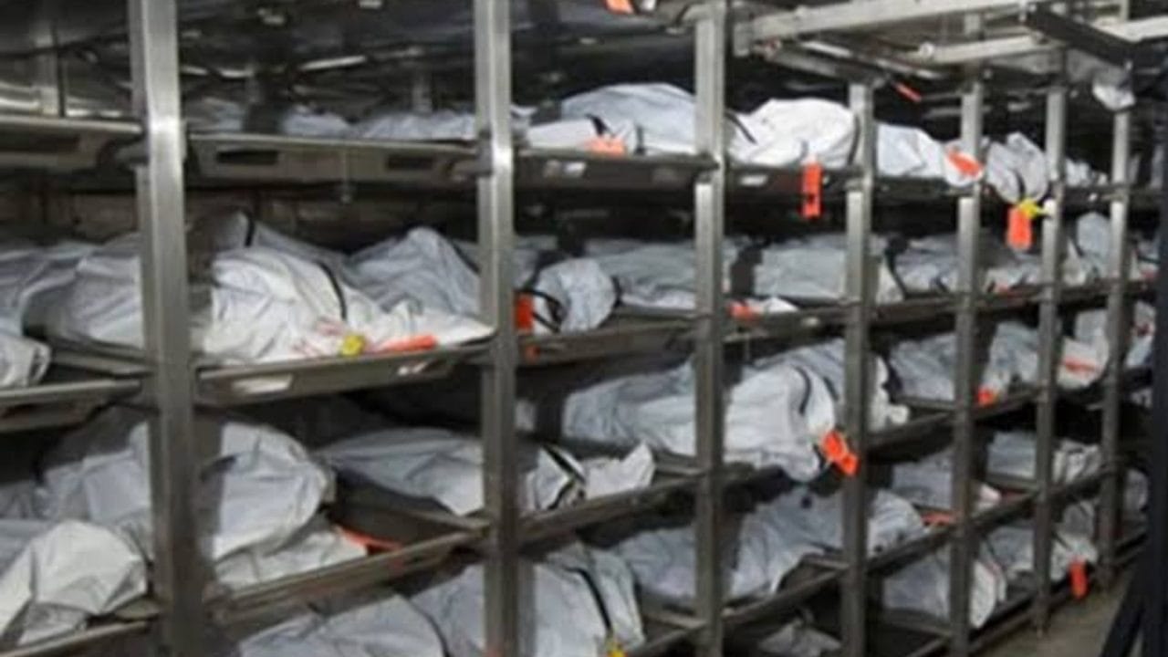 semefo-quintana-roo-cadaveres