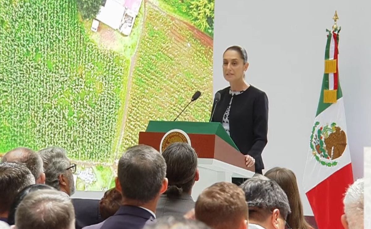 Primer informe: Sheinbaum destaca legado de AMLO contra la pobreza