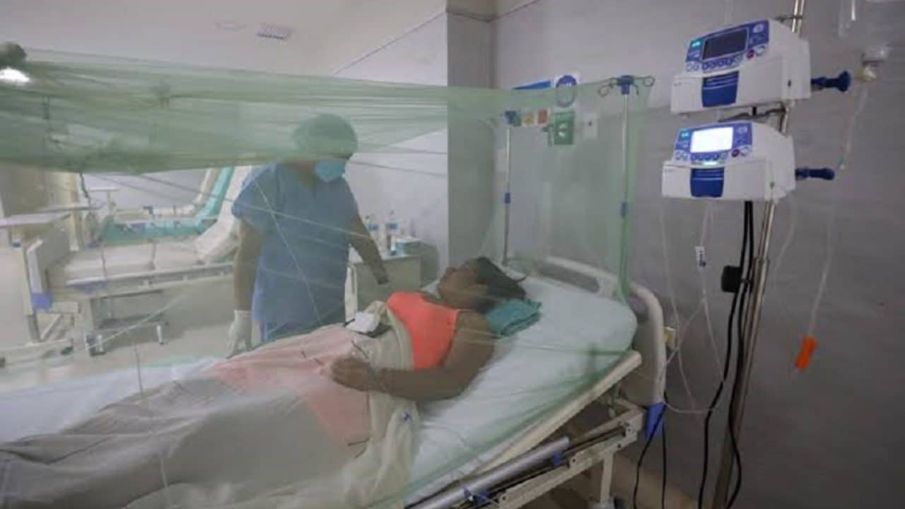 Confirman tercera muerte por dengue en Quintana Roo 