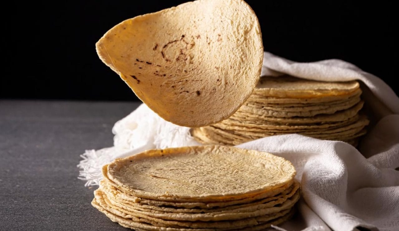IMSS revela cuántas tortillas puedes comer al día sin afectar tu salud