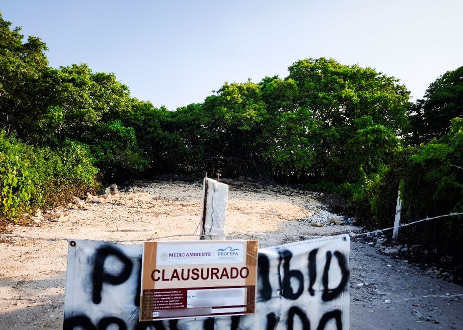 Clausura Profepa obra ilegal en manglar de Yucatán Clausura Profepa obra ilegal en manglar de Yucatán