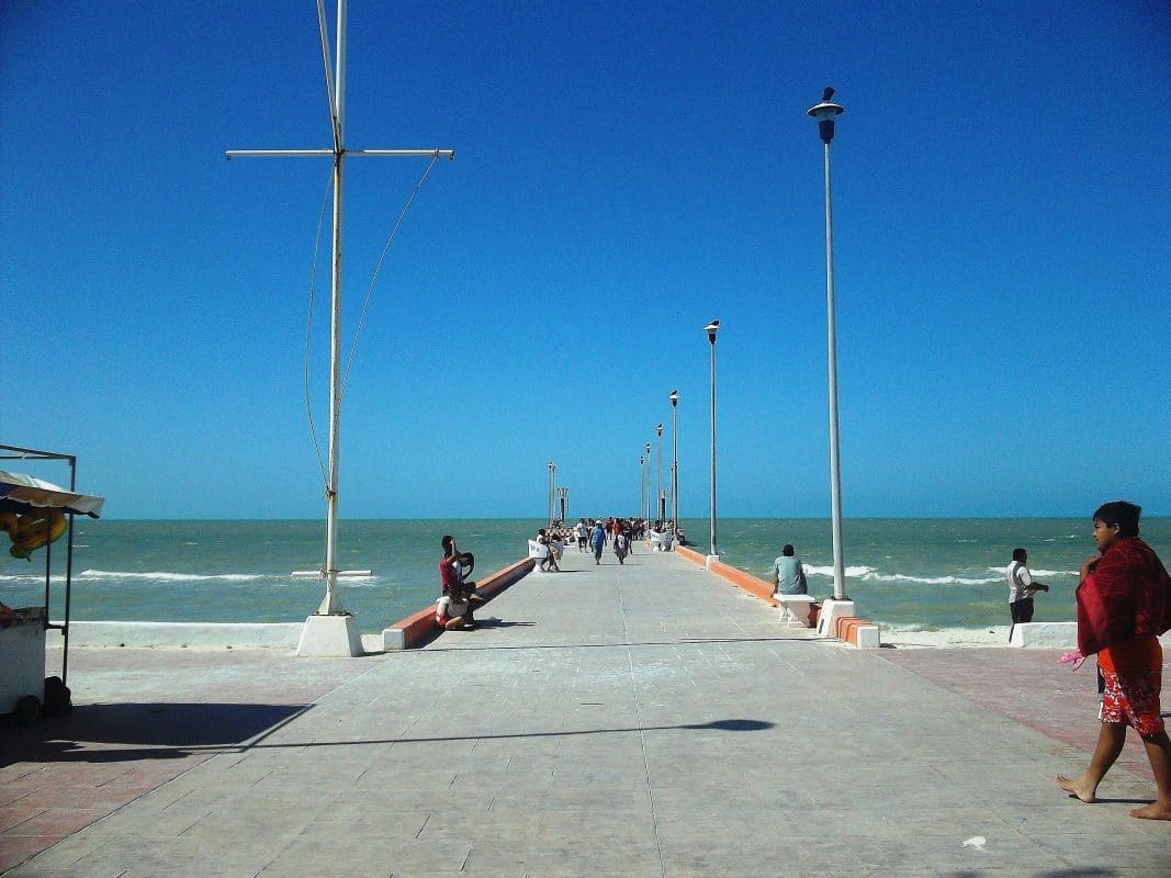 Yucatán refuerza la conservación de especies marinas con dos refugios pesqueros