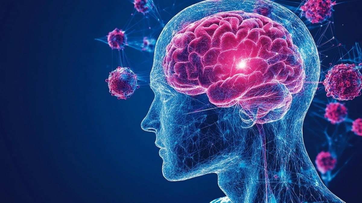 Alzheimer: la ciencia frena su avance con tres claves fundamentales