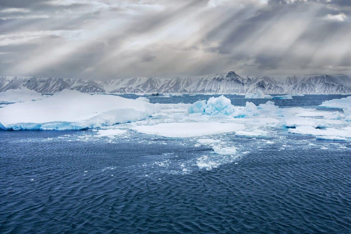 ¿Por qué el océano Antártico es crucial para absorber emisiones de carbono?