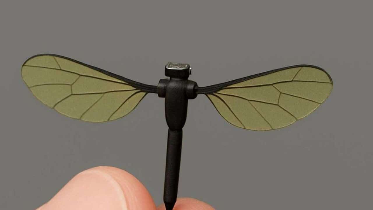 China crea microdron del tamaño de un mosquito: la nueva era del espionaje