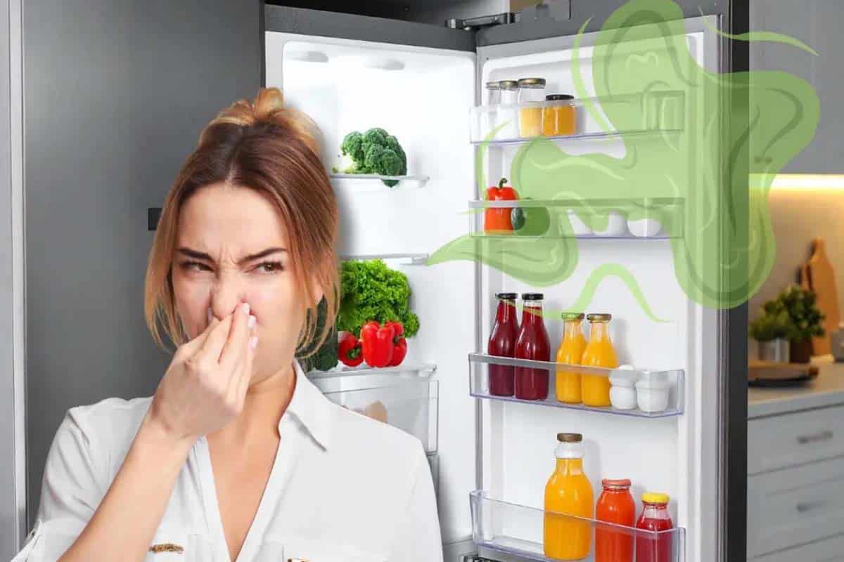 Cómo eliminar malos olores del refrigerador con métodos caseros eficaces