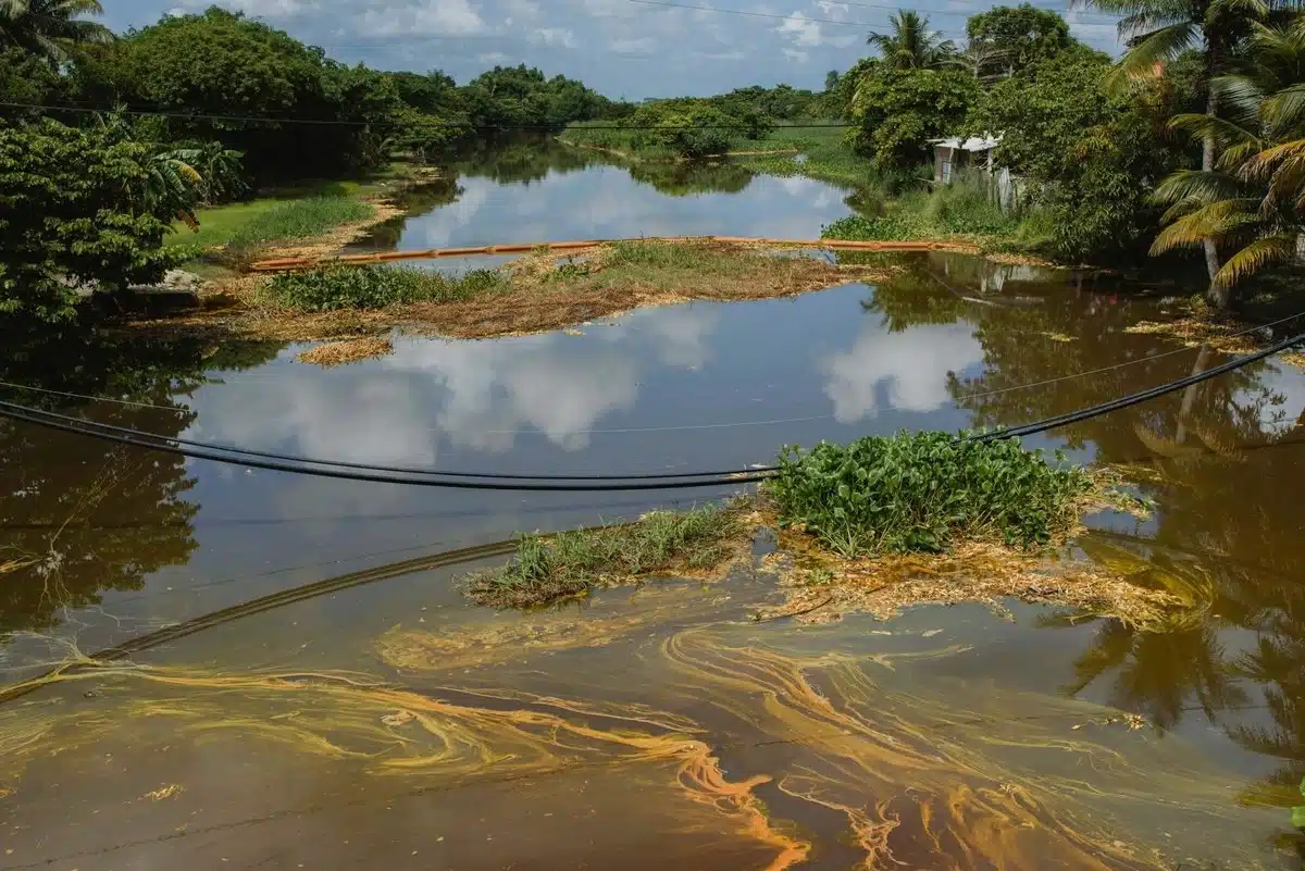 Derrames de hidrocarburos en el norte de Veracruz tras las inundaciones: comunidades exigen atención de Pemex