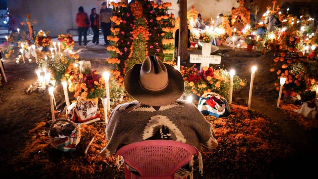 Flores indispensables para tu ofrenda de Día de Muertos Flores indispensables para tu ofrenda de Día de Muertos
